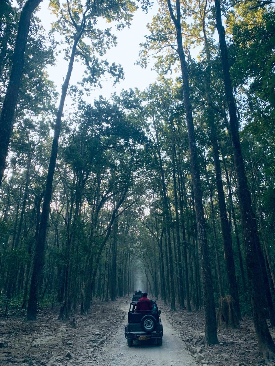 Solo Explorer