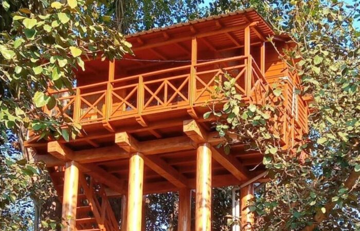 Phato Tree House