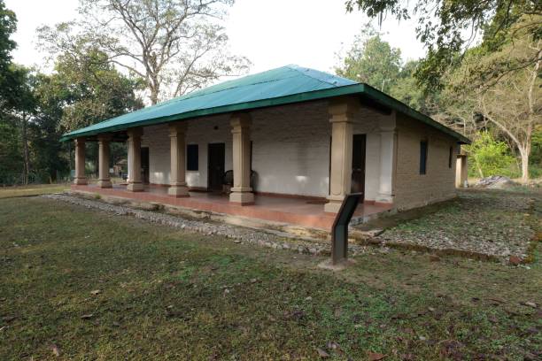 Dhikala Overnight